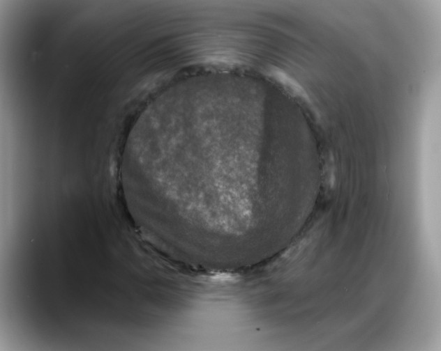 X0000088141110200706111420