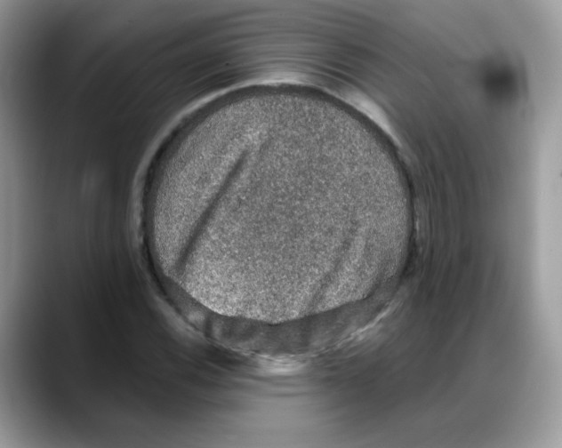 X0000088141116200706111420