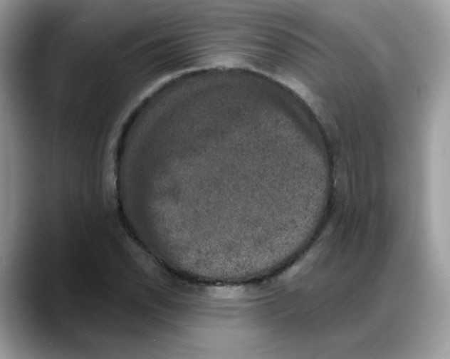 X0000088141118200706111420