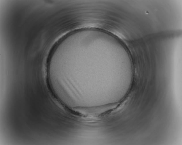 X0000088141119200706111420