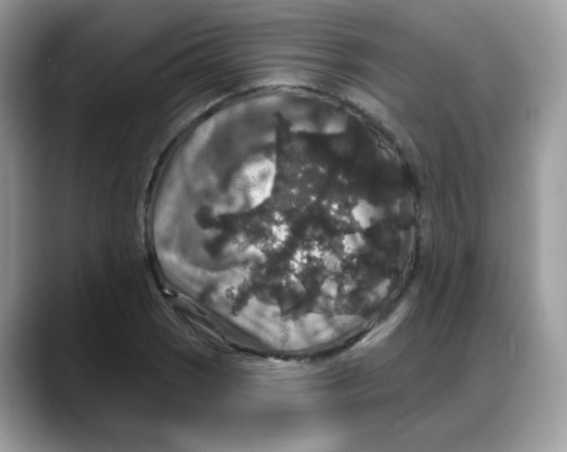 X0000088141121200706111420