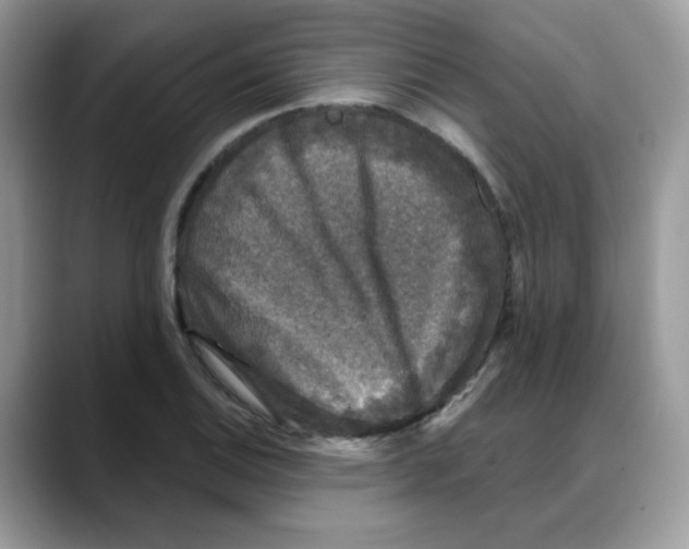 X0000088141124200706111420