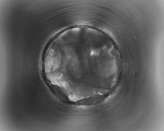 X0000088141125200706111420