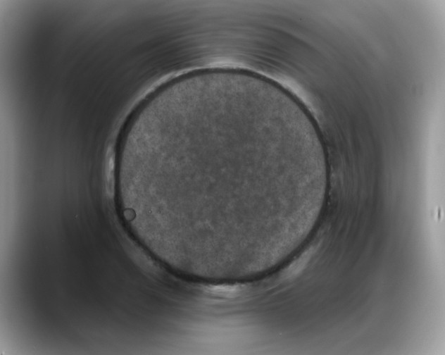 X0000088141126200706111420