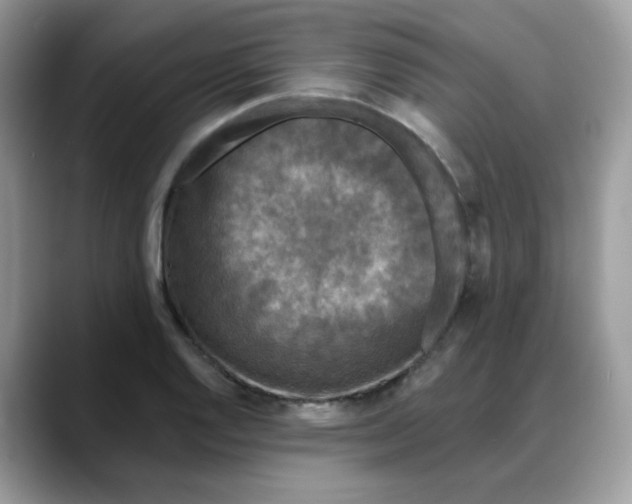 X0000088141128200706111420