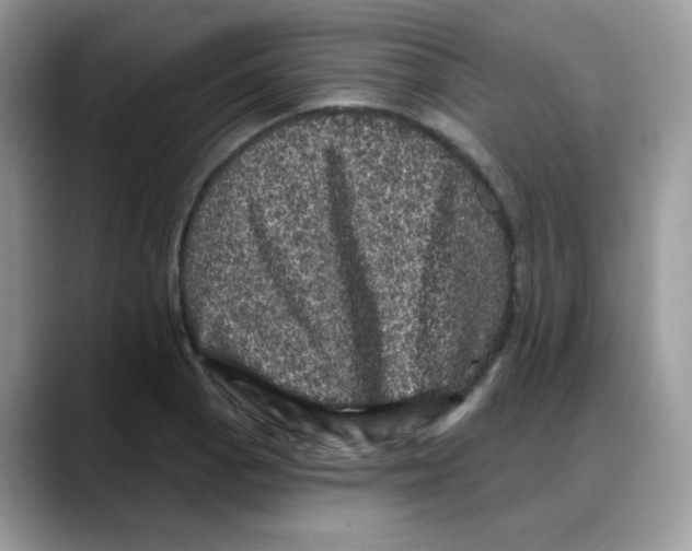 X0000088141129200706111420