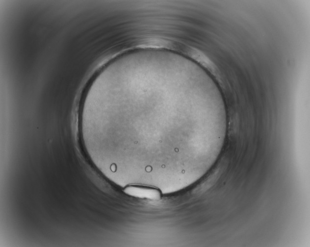 X0000088141130200706111420