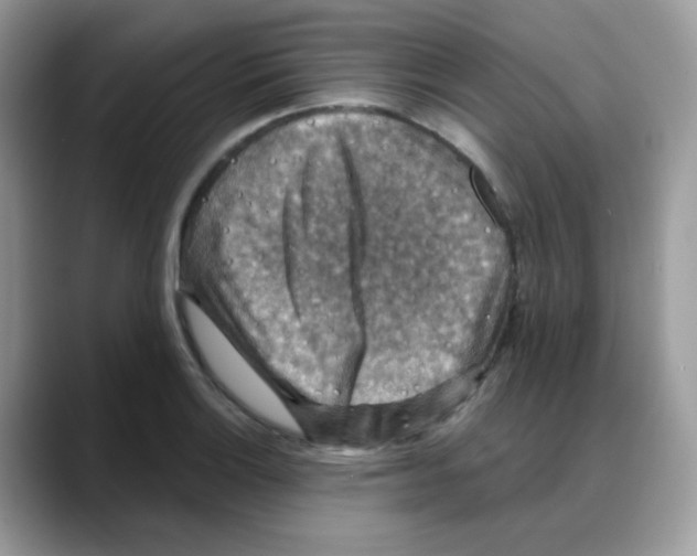 X0000088141132200706111420