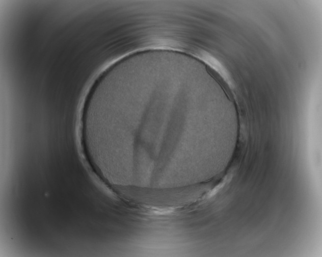 X0000088141136200706111420