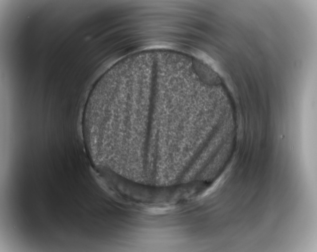 X0000088141137200706111420