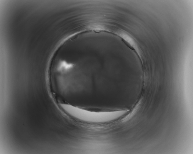 X0000088141141200706111420