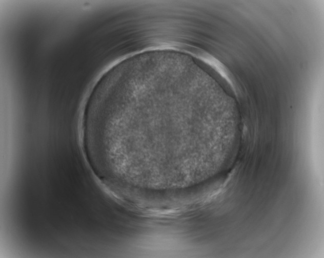 X0000088141143200706111420