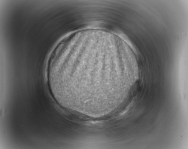 X0000088141148200706111421