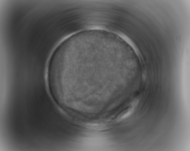 X0000088141149200706111421