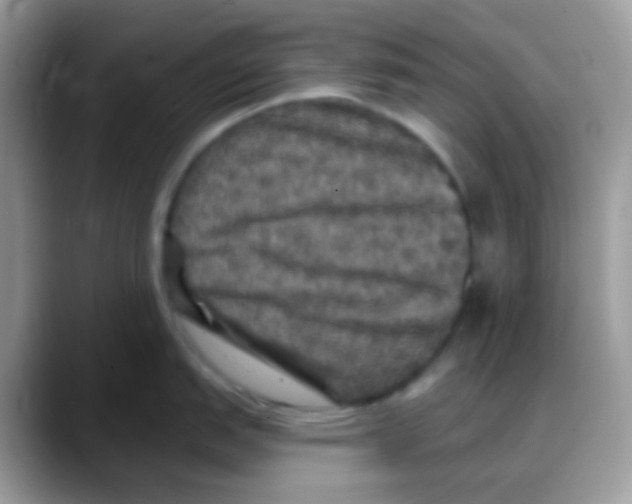 X0000088141151200706111421