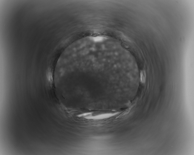 X0000088141155200706111420