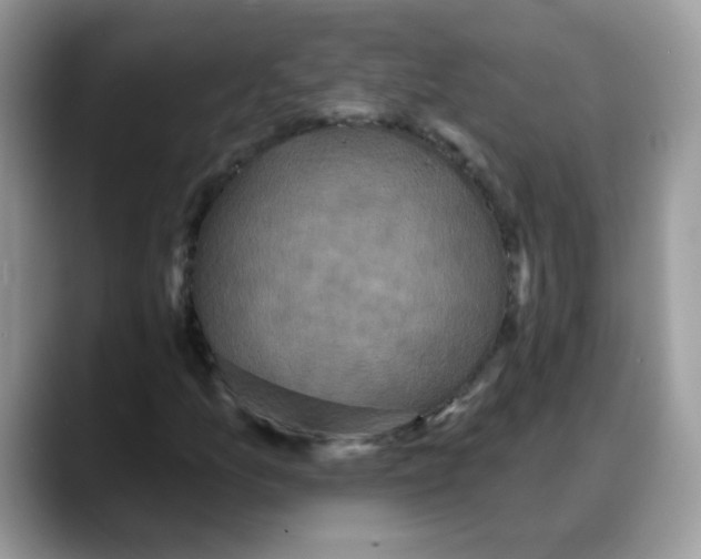 X0000088141157200706111420