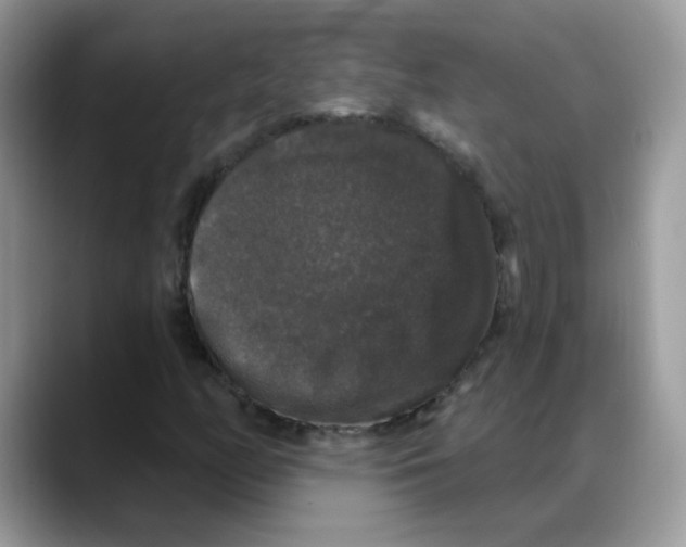 X0000088141158200706111420