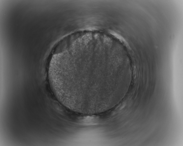 X0000088141160200706111420