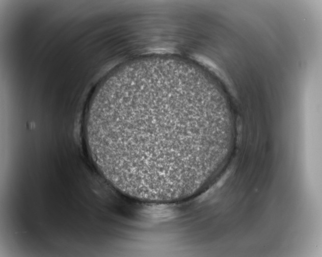 X0000088141162200706111420