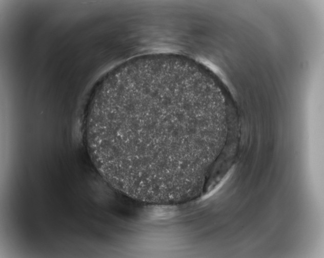 X0000088141163200706111420