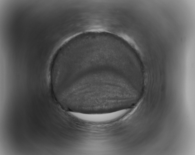 X0000088141167200706111420