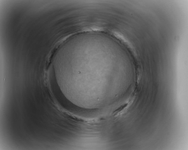 X0000088141169200706111420