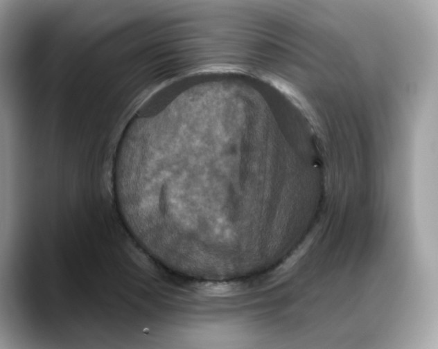 X0000088141177200706111420