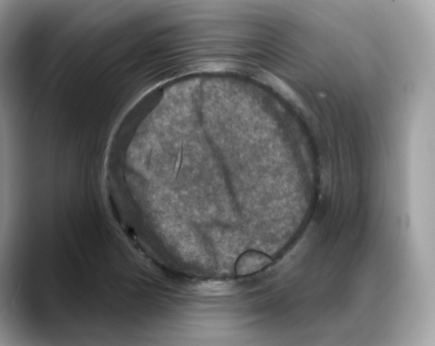 X0000088141178200706111420