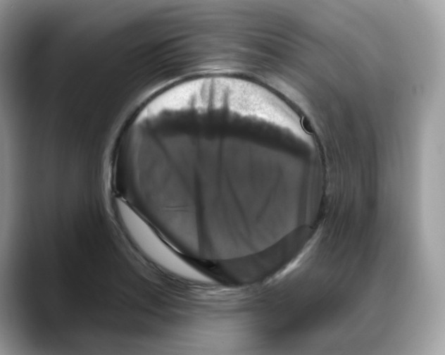 X0000088141179200706111420