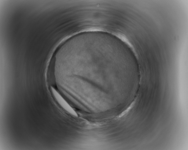 X0000088141181200706111420