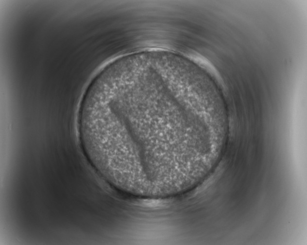 X0000088141182200706111420