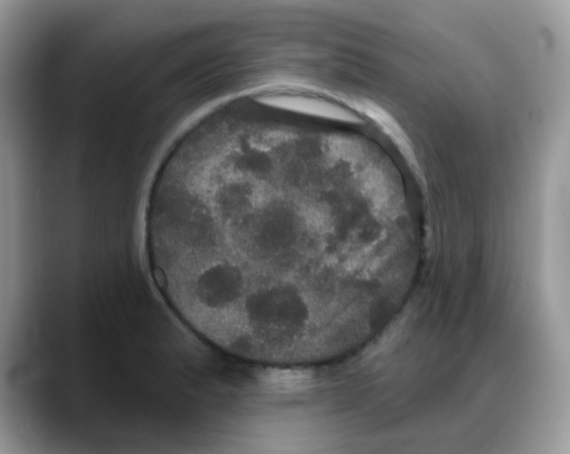 X0000088141183200706111420