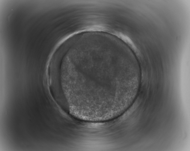 X0000088141184200706111420