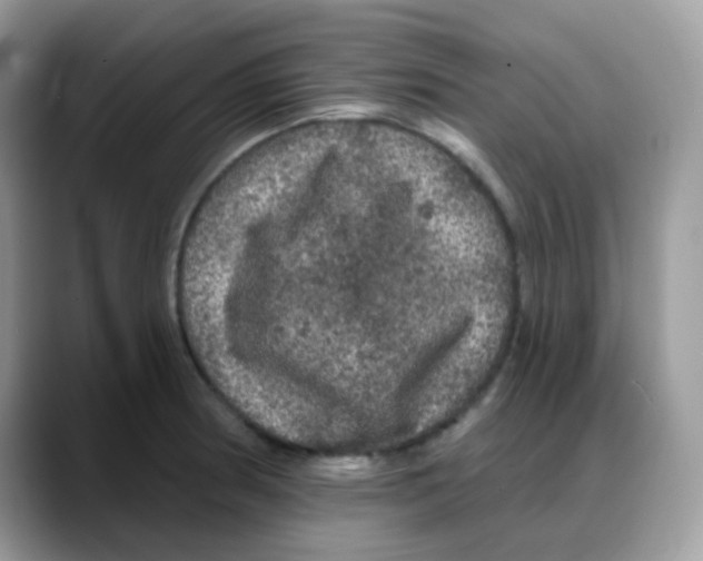 X0000088141186200706111420