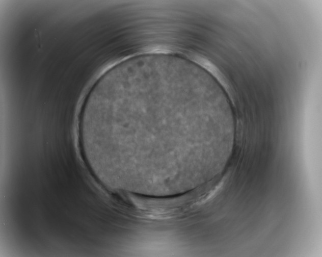 X0000088141187200706111420