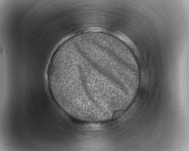 X0000088141190200706111420