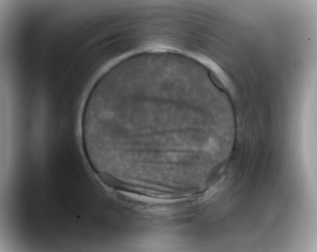 X0000088141191200706111420