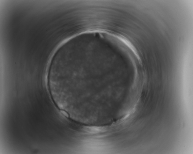 X0000088141197200706111419