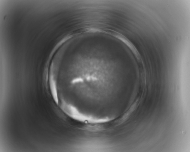 X0000088141198200706111419