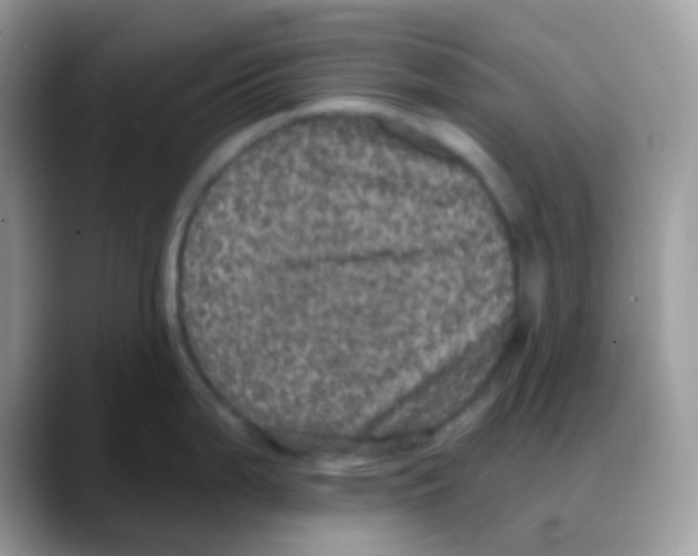 X0000088141199200706111419