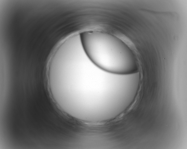 X0000088141200200706111419