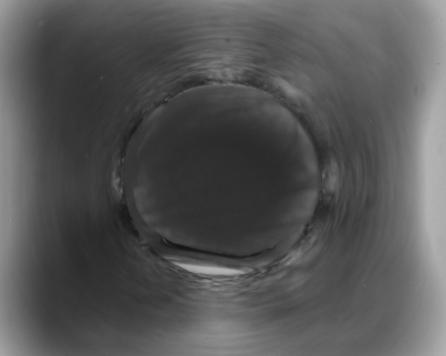 X0000088141202200706111419