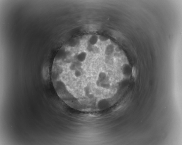 X0000088141203200706111419