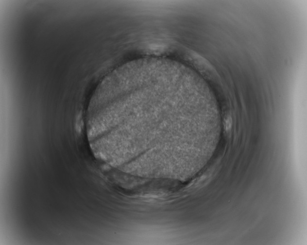 X0000088141204200706111419