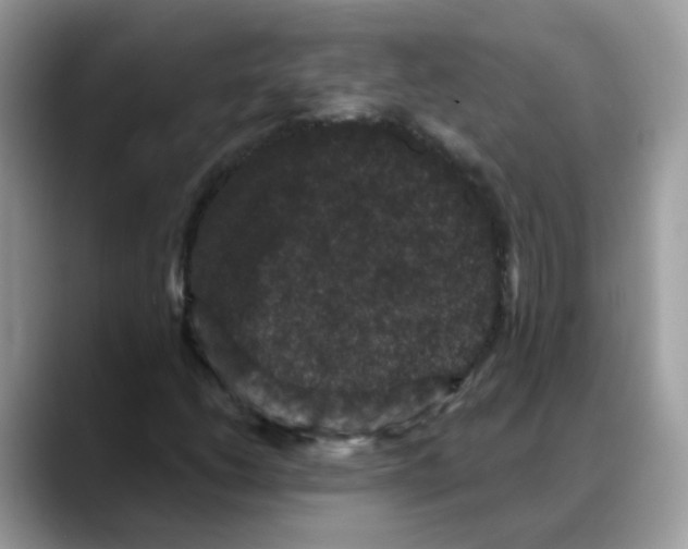 X0000088141206200706111419