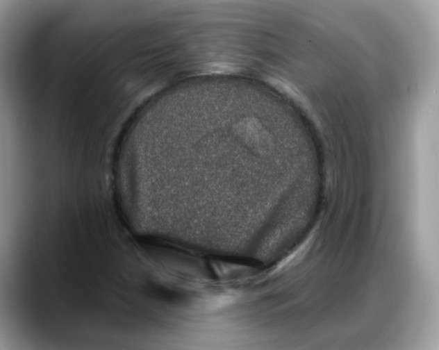 X0000088141210200706111419