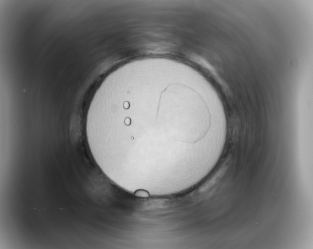 X0000088141211200706111419