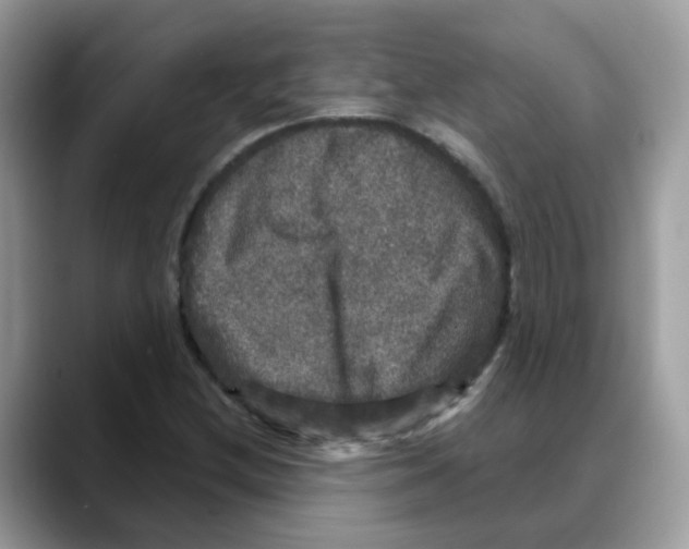 X0000088141212200706111419