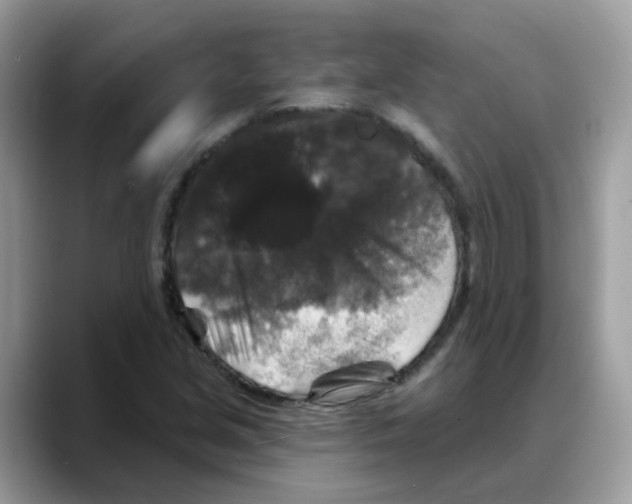 X0000088141213200706111419